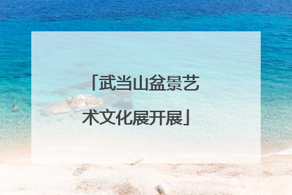 武当山盆景艺术文化展开展