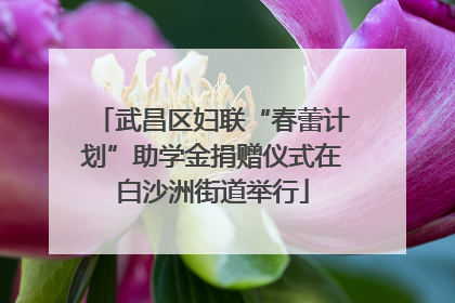 武昌区妇联“春蕾计划”助学金捐赠仪式在白沙洲街道举行