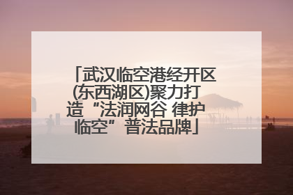 武汉临空港经开区(东西湖区)聚力打造“法润网谷 律护临空”普法品牌