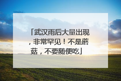 武汉雨后大量出现，非常罕见！不是蘑菇，不要随便吃