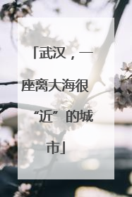武汉，一座离大海很“近”的城市
