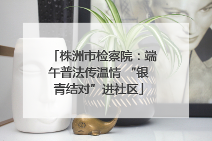 株洲市检察院：端午普法传温情 “银青结对”进社区