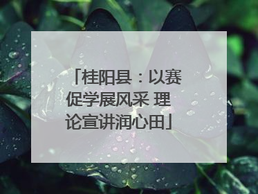桂阳县：以赛促学展风采 理论宣讲润心田