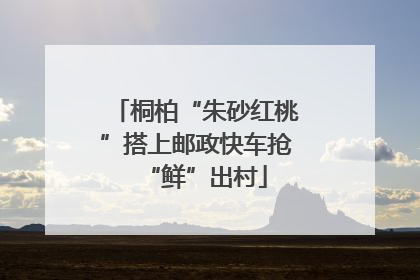 桐柏“朱砂红桃”搭上邮政快车抢“鲜”出村