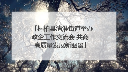 桐柏县清淮街道举办政企工作交流会 共商高质量发展新图景