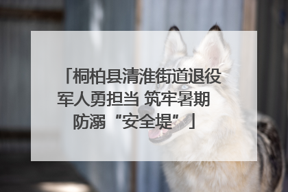 桐柏县清淮街道退役军人勇担当 筑牢暑期防溺“安全堤”