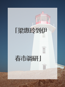 梁惠玲到伊春市调研