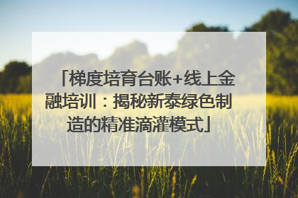 梯度培育台账+线上金融培训：揭秘新泰绿色制造的精准滴灌模式