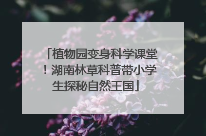 植物园变身科学课堂！湖南林草科普带小学生探秘自然王国