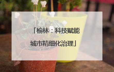 榆林：科技赋能城市精细化治理