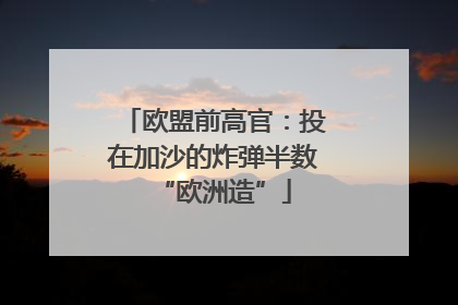欧盟前高官：投在加沙的炸弹半数“欧洲造”
