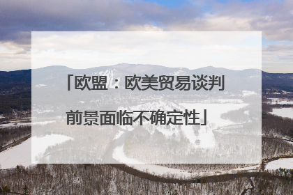 欧盟：欧美贸易谈判前景面临不确定性