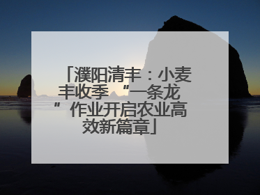 濮阳清丰：小麦丰收季 “一条龙”作业开启农业高效新篇章