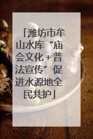 潍坊市牟山水库“庙会文化＋普法宣传”促进水源地全民共护