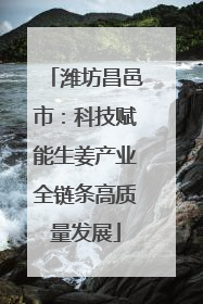 潍坊昌邑市：科技赋能生姜产业全链条高质量发展