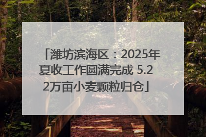 潍坊滨海区：2025年夏收工作圆满完成 5.22万亩小麦颗粒归仓