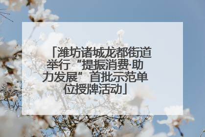 潍坊诸城龙都街道举行“提振消费·助力发展”首批示范单位授牌活动