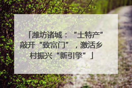 潍坊诸城：“土特产”敲开“致富门”，激活乡村振兴“新引擎”