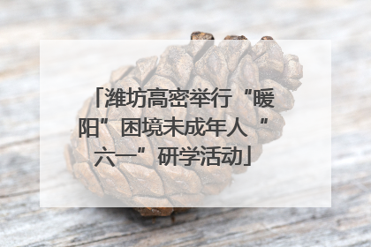潍坊高密举行“暖阳”困境未成年人“六一”研学活动
