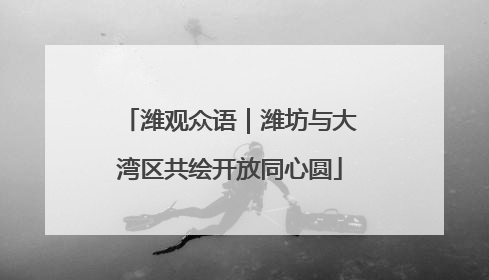 潍观众语｜潍坊与大湾区共绘开放同心圆