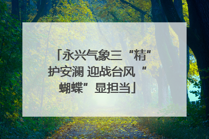 永兴气象三“精”护安澜 迎战台风“蝴蝶”显担当