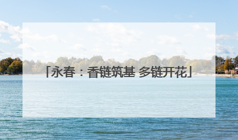 永春：香链筑基 多链开花