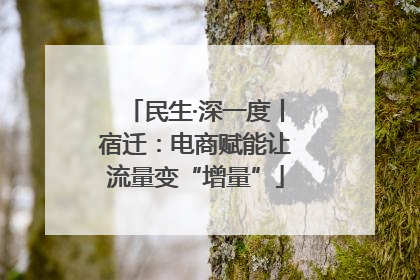 民生·深一度丨宿迁：电商赋能让流量变“增量”