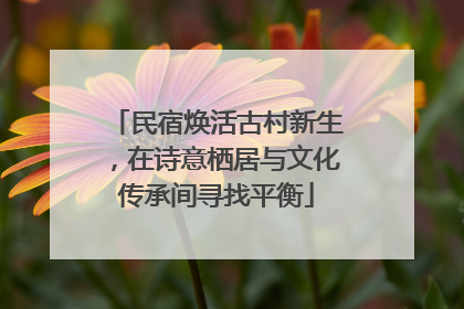 民宿焕活古村新生，在诗意栖居与文化传承间寻找平衡
