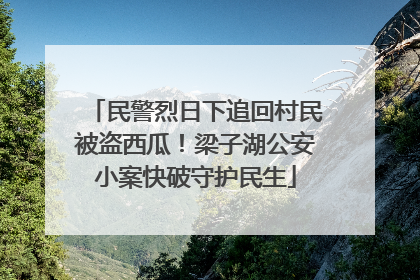 民警烈日下追回村民被盗西瓜！梁子湖公安小案快破守护民生