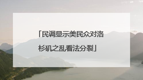 民调显示美民众对洛杉矶之乱看法分裂