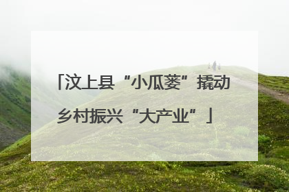 汶上县“小瓜蒌”撬动乡村振兴“大产业”