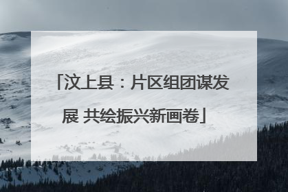汶上县：片区组团谋发展 共绘振兴新画卷