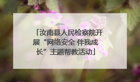 汝南县人民检察院开展“网络安全 伴我成长”主题帮教活动