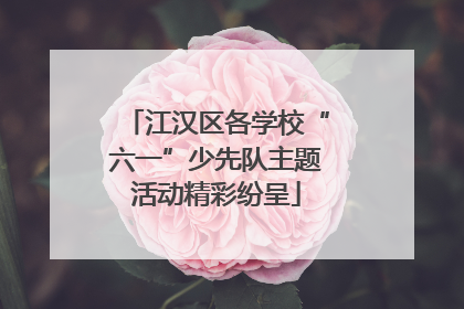 江汉区各学校“六一”少先队主题活动精彩纷呈