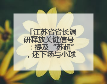 江苏省省长调研释放关键信号：提及“苏超”，还下场与小球员踢球互动