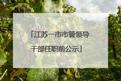 江苏一市市管领导干部任职前公示