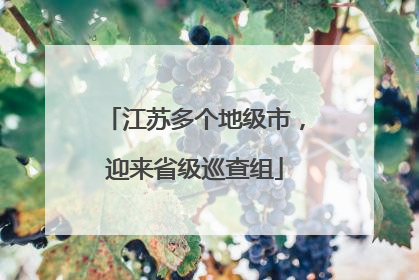 江苏多个地级市，迎来省级巡查组