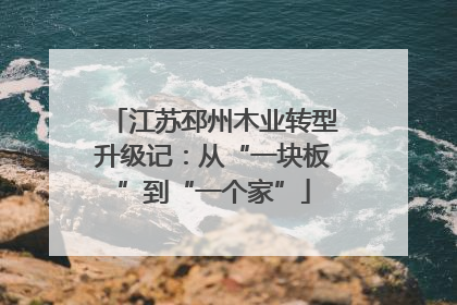 江苏邳州木业转型升级记：从“一块板”到“一个家”