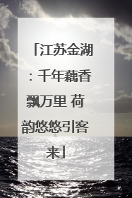 江苏金湖：千年藕香飘万里 荷韵悠悠引客来