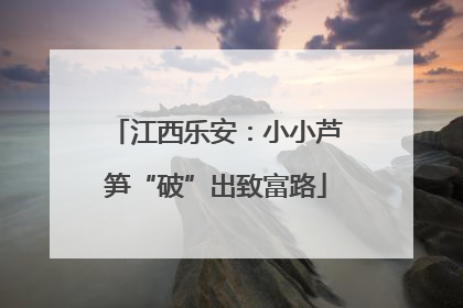 江西乐安：小小芦笋“破”出致富路
