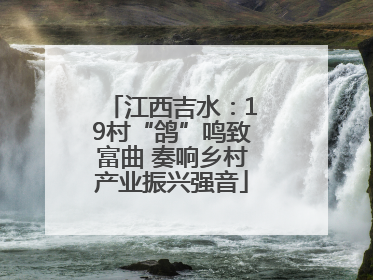 江西吉水：19村“鸽”鸣致富曲 奏响乡村产业振兴强音