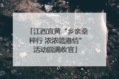 江西宜黄“乡亲桑梓行 浓浓赣港情”活动圆满收官