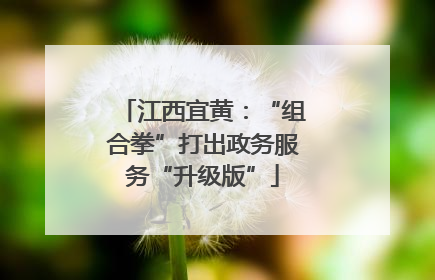 江西宜黄：“组合拳”打出政务服务“升级版”