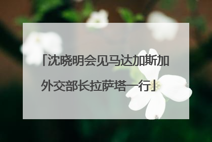 沈晓明会见马达加斯加外交部长拉萨塔一行
