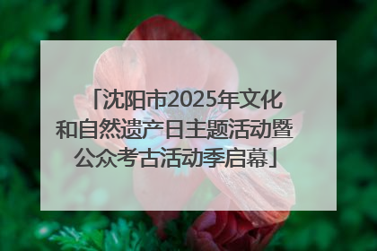 沈阳市2025年文化和自然遗产日主题活动暨公众考古活动季启幕