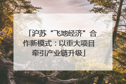 沪苏“飞地经济”合作新模式：以重大项目牵引产业链升级