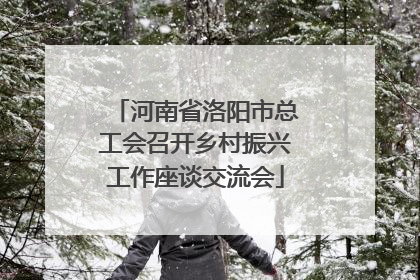 河南省洛阳市总工会召开乡村振兴工作座谈交流会