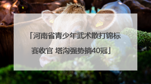 河南省青少年武术散打锦标赛收官 塔沟强势摘40冠