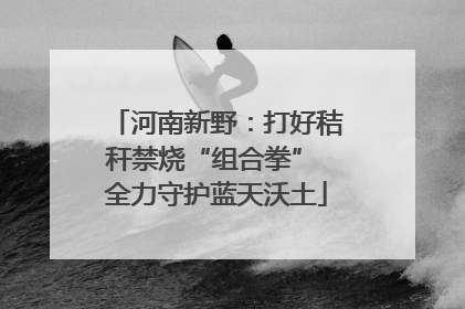 河南新野：打好秸秆禁烧“组合拳” 全力守护蓝天沃土
