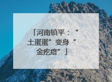 河南镇平：“土蛋蛋”变身“金疙瘩”